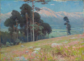 Neve de verão nos Tatras