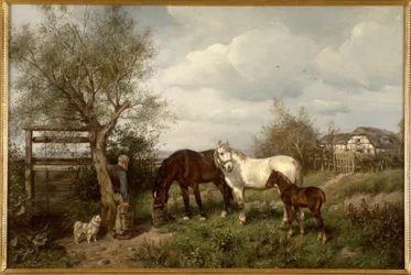 L.Fay, no país