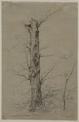 Árvore c. 1835-45.