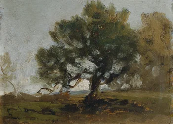 paisagem