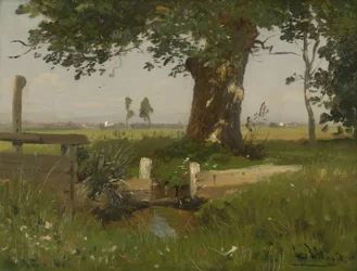 Paisagem de verão nos prados da Caríntia