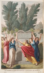 Heliades em árvores que produzem Amber ou Le Sorrelle die Fetonte Cangiate em Pioppi, ilustração de Metamorfoses de Ovídio, Florença, 1832 (gravura colorida à mão)