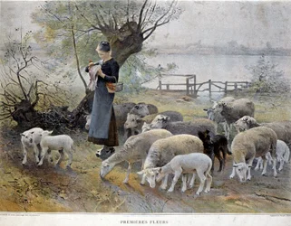 As primeiras flores: Uma pastora rodeada pelas suas ovelhas pica flores no seu chapéu - por Chialiva