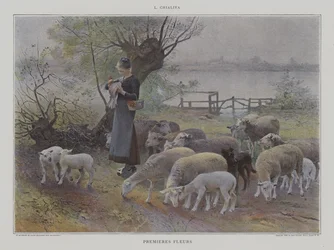 Estreia Fleurs (Primeiras Flores)