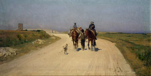 Estrada ensolarada