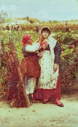 Camponeses em um vinhedo