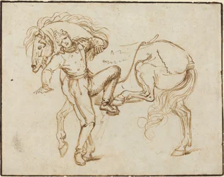 Cavalaria montando um cavalo