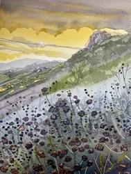 Pôr-do-sol na montanha e flores silvestres