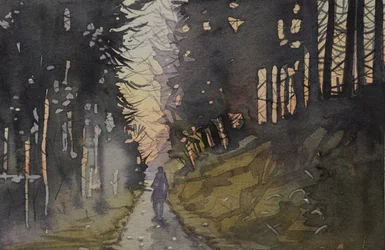 Passeio pela Floresta ao Crepúsculo