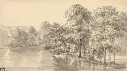 Árvores junto a um lago