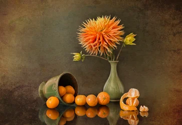 Dália de outono e tangerinas