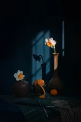 Narcisos, citrinos e sombras