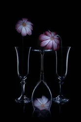 Flores delicadas e flûtes de vidro