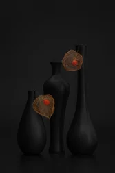 Elegante natureza-morta de physalis preto