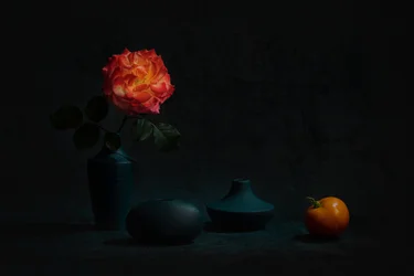 Rosa cor de laranja luminosa