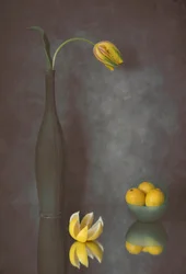 Graciosa tulipa e limões