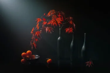 Natureza-morta outonal melancólica