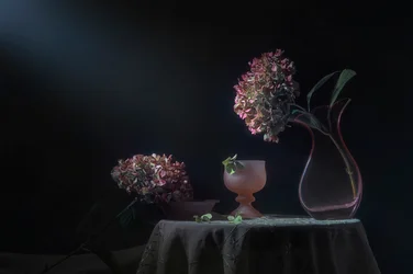 Natureza-morta melancólica com hortênsias