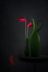 Antúrios vermelhos, vasos verdes