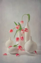 Túlipas cor-de-rosa suave