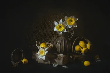 Narcisos de primavera e limões