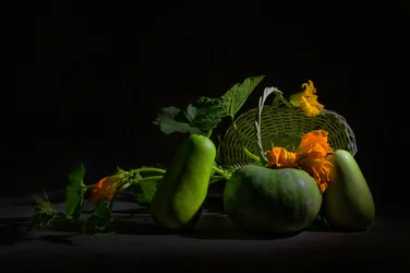 Natureza-morta vibrante da colheita