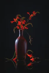 Vibrante natureza-morta vermelha