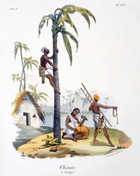 Um homem da casta Nadar escalando uma palmeira, 1827-35