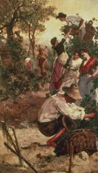 A colheita da uva