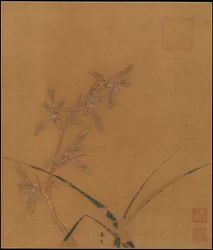 Orquídeas, segundo quartel do século XIII.
