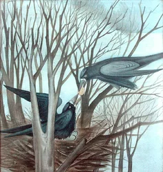 Dois Rooks Feeding in a Tree (lápis e aguarela sobre papel)