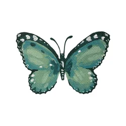 Borboleta azul-petróleo elegante