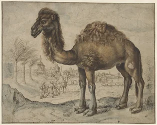 Dromedário numa Paisagem Oriental com uma Cidade