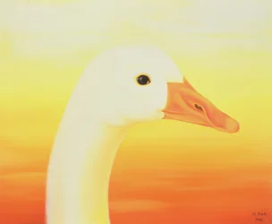 Beleza, 1998
