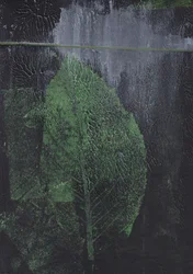 Resumo: Folha Verde