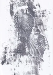 Texturas abstratas de folhas