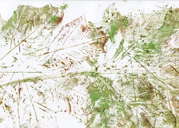 Folha abstrata