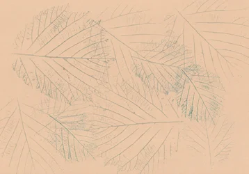 Padrão botânico de folhas