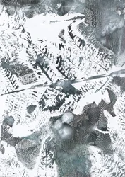 Folhagem etérea de inverno