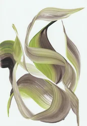 Fluxo orgânico gracioso