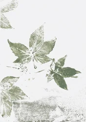 Impressões da Green Leaf