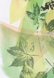Sobreposições de folhas verdes