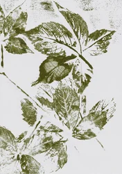 Estampados de Folhas Verdes