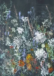 Florescimento de flores silvestres à meia-noite