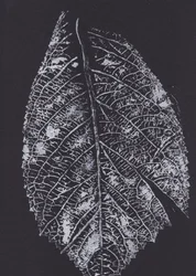 Padrão monocromático de folhas