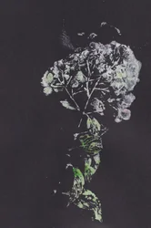 Impressão Floral Moody