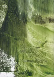 Fluxo Verde Orgânico