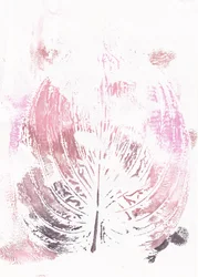Folha botânica rosa