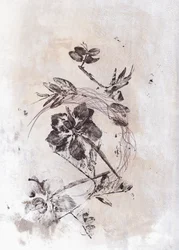 Sepia Fluxo Botânico