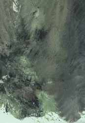 Profundezas Verdes Serenas